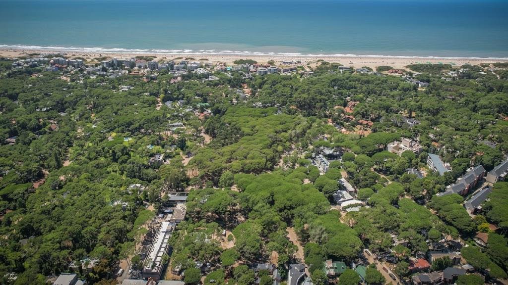 Vista aérea de Cariló, otro destino de la Costa Atlántica con buen nivel de reserva y operaciones
